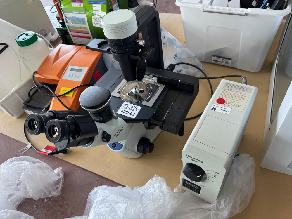 Image of Olympus CKX53 Inverted Microscope